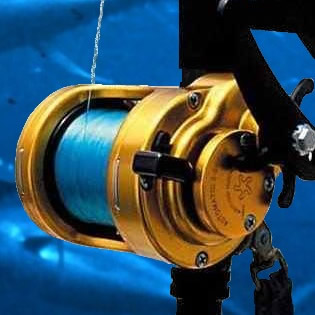Reel Frame Conversions & Spool Kits – Tiburon Fishing Reels